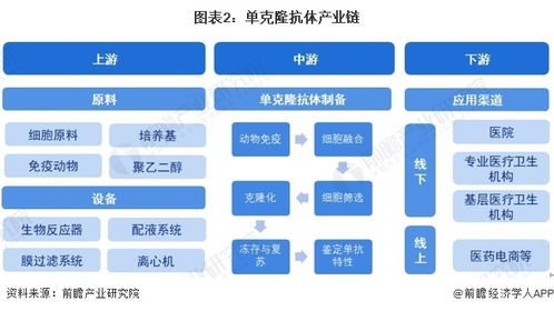 預(yù)見(jiàn)2024 中國(guó)單克隆抗體行業(yè)全景圖譜及計(jì)算機(jī)軟硬件開(kāi)發(fā)的融合趨勢(shì)